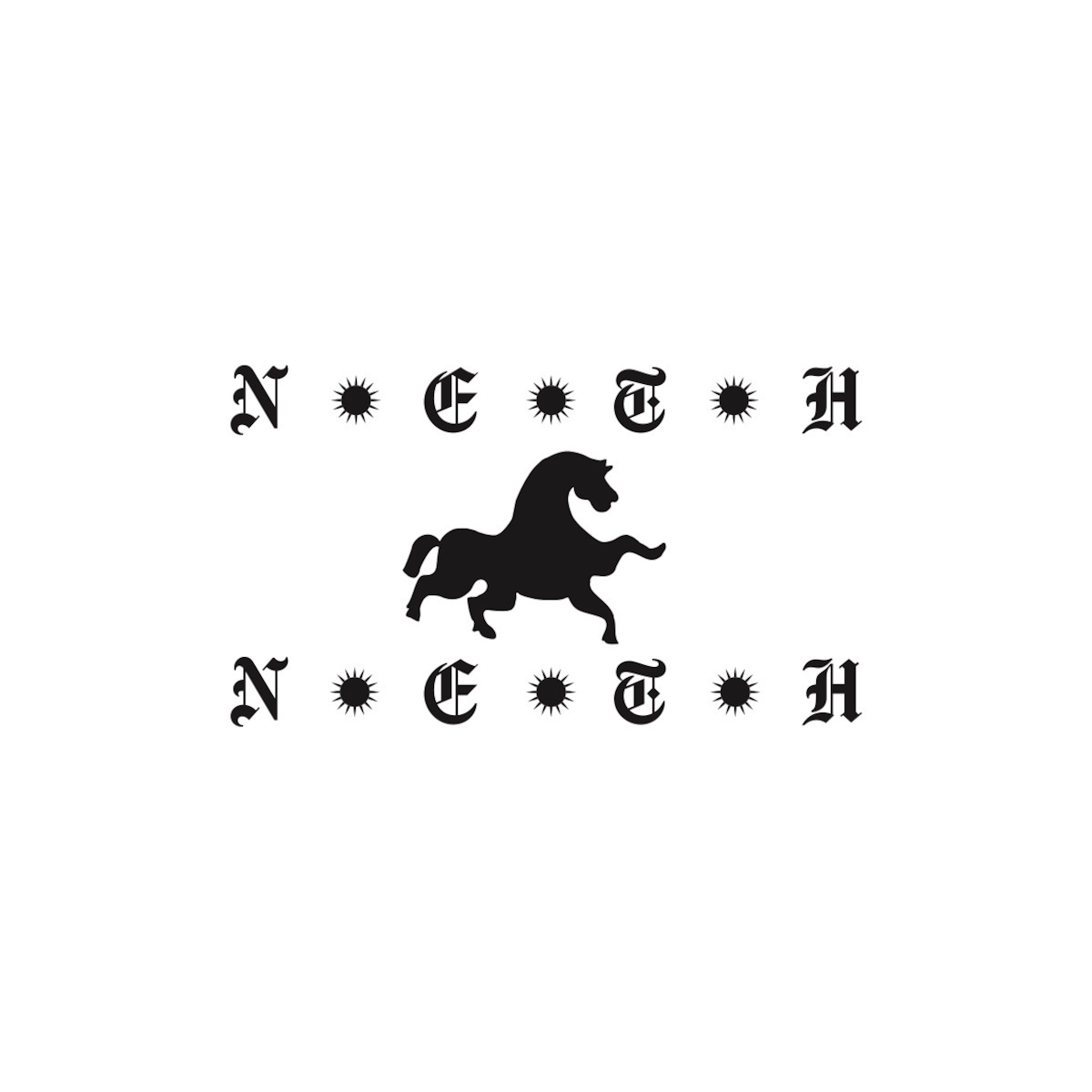 NETHNIC(ネスニック)