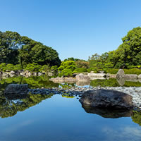 浮花-Fuka-